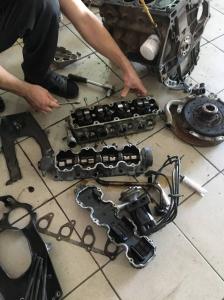 Фотография Yacco 4