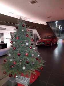 Фотография Audi Центр Ростов 0