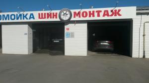 Фотография Дельфин 1