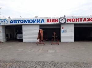 Фотография Дельфин 2