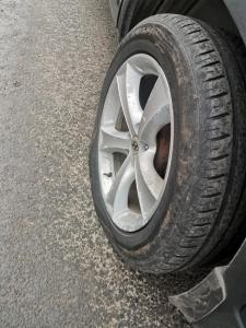 Фотография Западный 4