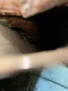 Фотография Detroit 3