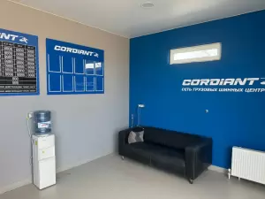 Фотография Кордиант 3